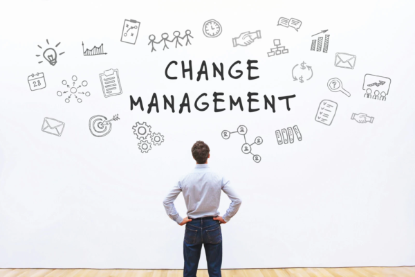 Organisational Change Management Ownership Mentality